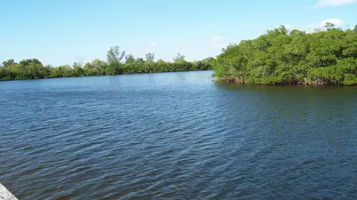 Calm bay water and mangroves at E.G. Simmons Park in Ruskin