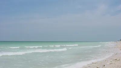 Gulf surf along the beach at Honeymoon Island State Park