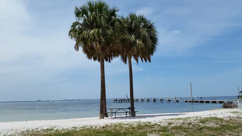 Palm trees on the beach at Picnic Island Park, with the pier in the background